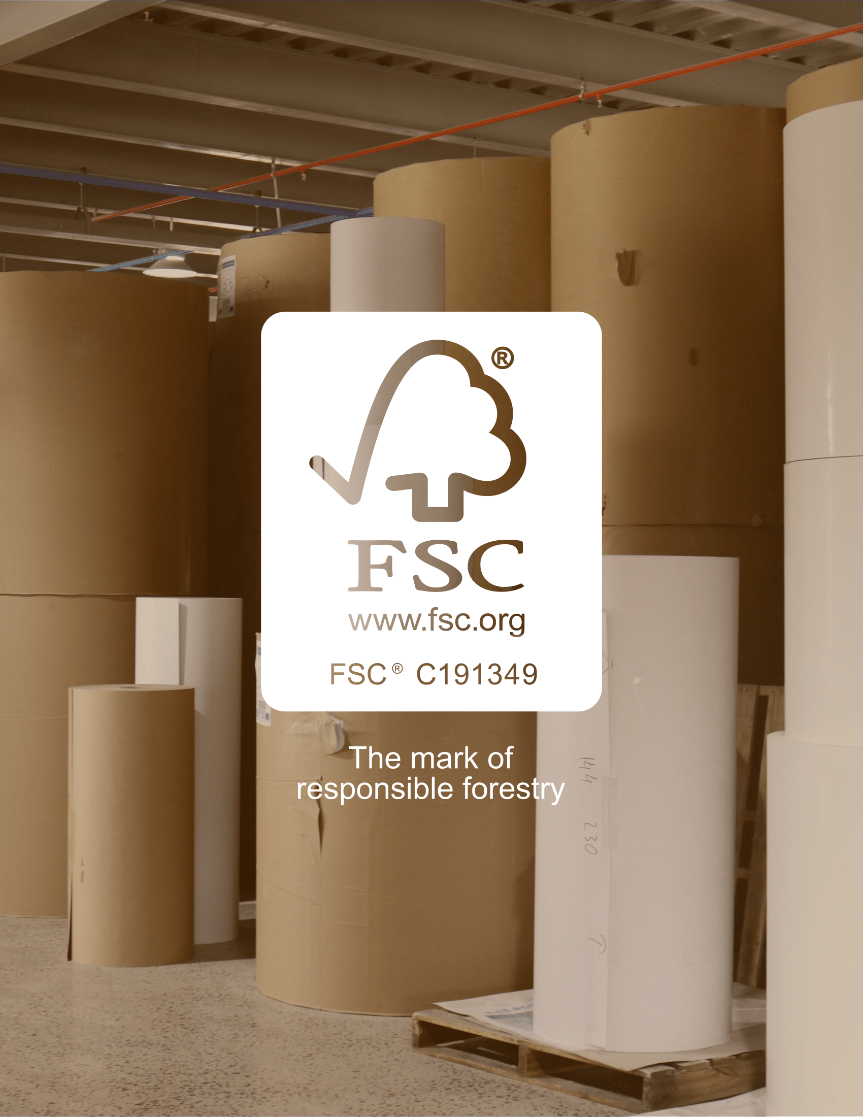 Tại Sao Doanh Nghiệp Nên Chọn Bao Bì FSC? Lợi Ích Thực Tế Bạn Không Thể Bỏ Qua